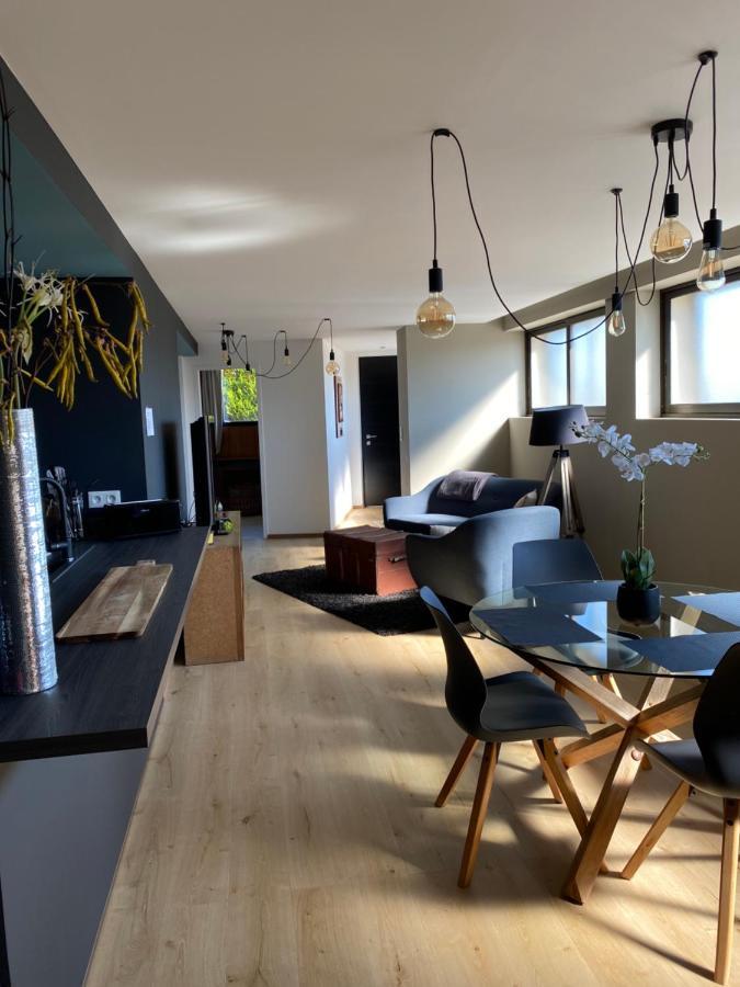 Appartement Atypique Epinal Gare Buitenkant foto